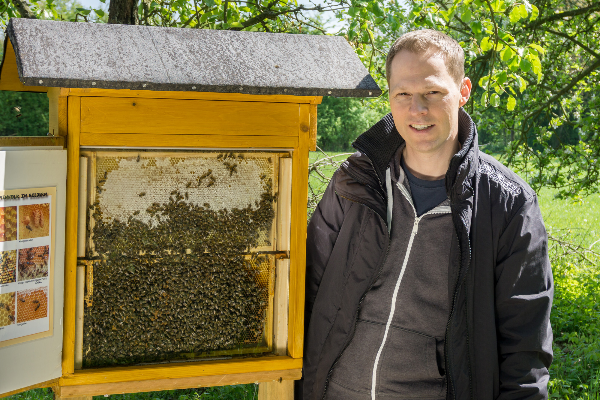 Bienenschaukasten von Mai-September